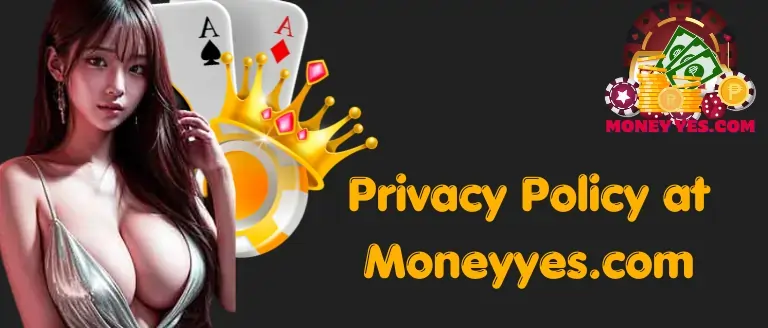 Privacy Policy at Moneyyes.com