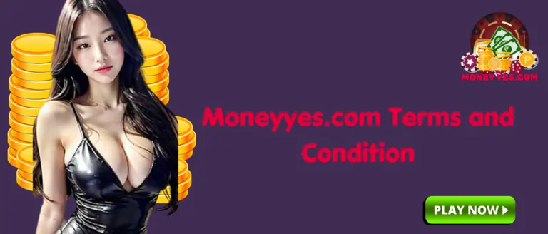 Terms and Condition at moneyyes.com