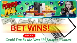 Playmaya Bet Wins